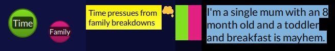 Quirkos 2 screenshot showing memos next to some coded text.