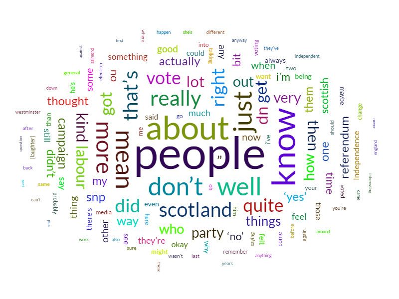 Word cloud of referendum qualitative data